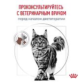 Паучи Royal Canin Gastrointestinal Moderate Calorie для кошек, склонных к набору веса при расстройствах пищеварения