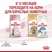 Royal Canin Kitten Sterilised корм сухой сбалансированный для стерилизованных котят до 12 месяцев