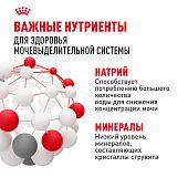 Паучи Royal Canin Urinary Care для взрослых кошек для поддержания здоровья МКБ системы мелкие кусочки в соусе