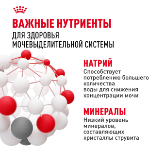 Паучи Royal Canin Urinary Care для взрослых кошек для поддержания здоровья МКБ системы мелкие кусочки в соусе