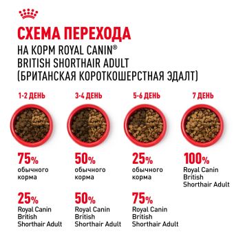 Корм сухой сбалансированный Royal Canin British Shorthair Adult для взрослых британских короткошерстных кошек