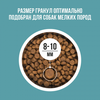 Корм Bowl Wow для собак мелких пород с индейкой, рисом и розмарином