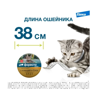 Водостойкий ошейник Форесто для кошек от клещей, блох и вшей