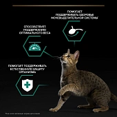Влажный корм PRO PLAN® Sterilised MAINTENANCE для взрослых стерилизованных кошек с говядиной, курицей, уткой, рыбой Влажный корм PRO PLAN® Sterilised MAINTENANCE для взрослых стерилизованных кошек с говядиной, курицей, уткой, рыбой