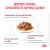 Паучи Royal Canin Renal для кошек для поддержания функции почек с курицей в соусе