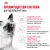 Royal Canin Kitten корм сухой сбалансированный для котят в период второй фазы роста до 12 месяцев Royal Canin Kitten корм сухой сбалансированный для котят в период второй фазы роста до 12 месяцев