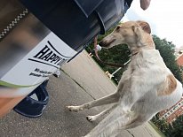 Дегустация в зоомагазине «Динозаврик» (Ул.Снежная, д.16к6)!