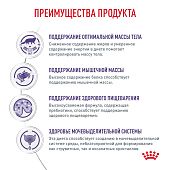 Паучи Royal Canin Neutered Balance для взрослых стерилизованных кошек, склонных к набору веса
