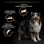 Сухой корм PRO PLAN® для взрослых собак средних пород, с высоким содержанием курицы Сухой корм PRO PLAN® для взрослых собак средних пород, с высоким содержанием курицы