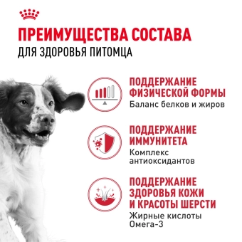 Корм для собак Royal Canin Medium Adult Корм сухой для взрослых собак средних размеров