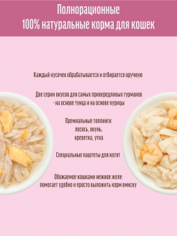 Паучи Деревенские Лакомства для кошек из филейной курицы в нежном желе