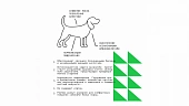 Сухой Корм AJO Dog Mini Hypoallergenic с гречкой для взрослых собак миниатюрных и малых пород, склонных к аллергиям Сухой Корм AJO Dog Mini Hypoallergenic с гречкой для взрослых собак миниатюрных и малых пород, склонных к аллергиям
