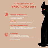 Паучи Enso Daily Diet для взросл кошек для здоровья печени кусочки в соусе с индейкой Паучи Enso Daily Diet для взросл кошек для здоровья печени кусочки в соусе с индейкой