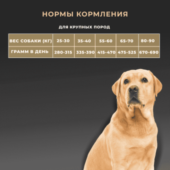 Корм Premier Dog Lamb&Turkey Adult Maxi для собак крупных пород со свежим мясом ягненка и индейкой