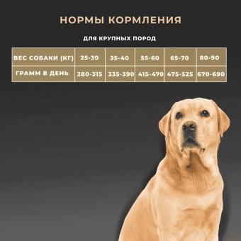 Сухой корм Premier для собак крупных пород, чувствительным пищеварением или склонных к аллергии, ягненок и индейка