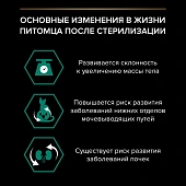Влажный корм PRO PLAN® Sterilised MAINTENANCE для стерилизованных кошек и кастрированных котов, с индейкой в соусе Влажный корм PRO PLAN® Sterilised MAINTENANCE для стерилизованных кошек и кастрированных котов, с индейкой в соусе