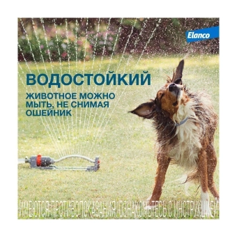 Водостойкий ошейник Форесто для собак от 8 кг от клещей, блох и вшей