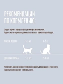 Паучи Деревенские Лакомства для кошек лосось с кальмаром в нежном желе Паучи Деревенские Лакомства для кошек лосось с кальмаром в нежном желе