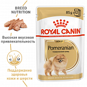 Паучи Royal Canin Pomeranian Adult для взрослых собак породы Померанский шпиц паштет