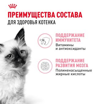 Консервированный корм для котят Royal Canin Kitten в возрасте до 12 месяцев в соусе