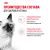 Консервированный корм для котят Royal Canin Kitten в возрасте до 12 месяцев в соусе