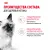 Консервированный корм для котят Royal Canin Kitten в возрасте до 12 месяцев в соусе