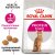 Royal Canin Protein Exigent корм сухой сбалансированный для привередливых взрослых кошек от 1 года