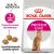 Royal Canin Protein Exigent корм сухой сбалансированный для привередливых взрослых кошек от 1 года Royal Canin Protein Exigent корм сухой сбалансированный для привередливых взрослых кошек от 1 года