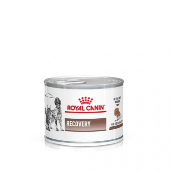 Консервы Royal Canin Recovery для кошек и собак в период анорексии и восстановления