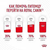 Royal Canin Hair & Skin Care корм консервированный для взрослых кошек в желе