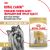 Корм для котят Royal Canin Kitten Корм сухой сбалансированный период второй фазы роста