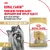 Корм для котят Royal Canin Kitten Корм сухой сбалансированный период второй фазы роста