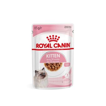 Консервированный корм для котят Royal Canin Kitten в возрасте до 12 месяцев в соусе