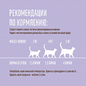 Паучи Деревенские Лакомства "Домашние обеды" для кошек с кроликом и телятиной в нежном соусе