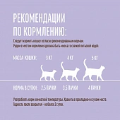 Паучи Деревенские Лакомства "Домашние обеды" для кошек с кроликом и телятиной в нежном соусе Паучи Деревенские Лакомства "Домашние обеды" для кошек с кроликом и телятиной в нежном соусе