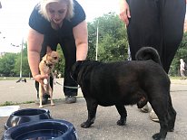 Дегустация в зоомагазине «Динозаврик» (Ул.Снежная, д.16к6)!