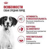 Сухой Корм для собак Royal Canin Medium Adult Корм сухой для взрослых собак средних размеров Сухой Корм для собак Royal Canin Medium Adult Корм сухой для взрослых собак средних размеров