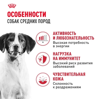 Корм для собак Royal Canin Medium Adult Корм сухой для взрослых собак средних размеров