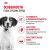 Корм для собак Royal Canin Medium Adult Корм сухой для взрослых собак средних размеров