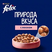 Влажный корм Felix Природа вкуса для взрослых кошек с лососем в соусе Влажный корм Felix Природа вкуса для взрослых кошек с лососем в соусе
