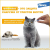 Капли на холку Профендер для кошек от 2,5 до 5 кг от гельминтов