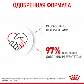 Royal Canin Mini Starter корм для щенков мелких размеров до 2-х месяцев, беременных и...