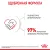Royal Canin Mini Starter корм для щенков мелких размеров до 2-х месяцев, беременных и кормящих сук Royal Canin Mini Starter корм для щенков мелких размеров до 2-х месяцев, беременных и кормящих сук