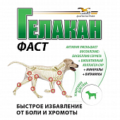 Кормовая добавка Orling Гелакан Фаст для собак при хронических заболеваниях суставов и позвоночника