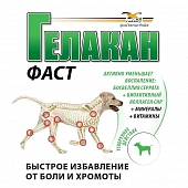 Кормовая добавка Orling Гелакан Фаст для собак при хронических заболеваниях суставов и позвоночника Кормовая добавка Orling Гелакан Фаст для собак при хронических заболеваниях суставов и позвоночника