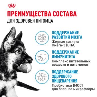 Корм для собак Royal Canin Maxi Puppy Корм сухой для щенков крупных размеров до 15 месяцев
