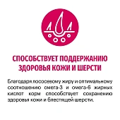 Сухой Корм Karmy Adult для взрослых кошек старше 1 года с курицей Сухой Корм Karmy Adult для взрослых кошек старше 1 года с курицей