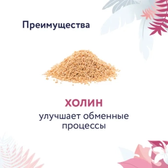 Корм Florida Preventive Line Hepatic для кошек для поддержание здоровья печени