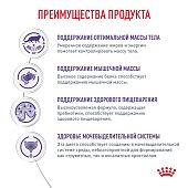 Паучи Royal Canin Neutered Maintenance для взрослых стерилизованных кошек