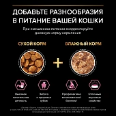Влажный корм PRO PLAN® Delicate Digestion для кошек для чувствительного пищеварения с индейкой, ягненком, рыбой Влажный корм PRO PLAN® Delicate Digestion для кошек для чувствительного пищеварения с индейкой, ягненком, рыбой